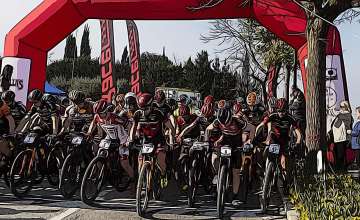 Bardolino Bike