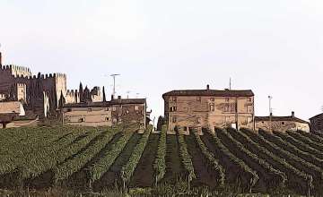 Trekking in Soave nell'Anello Escursionistico dei Capitelli e del Castello Superiore