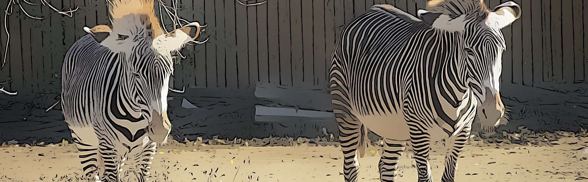 Parco Zoo Safari Natura Viva